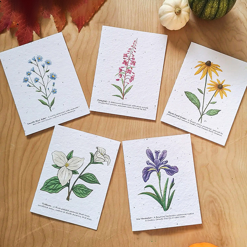 Seed paper greeting cards can be planted