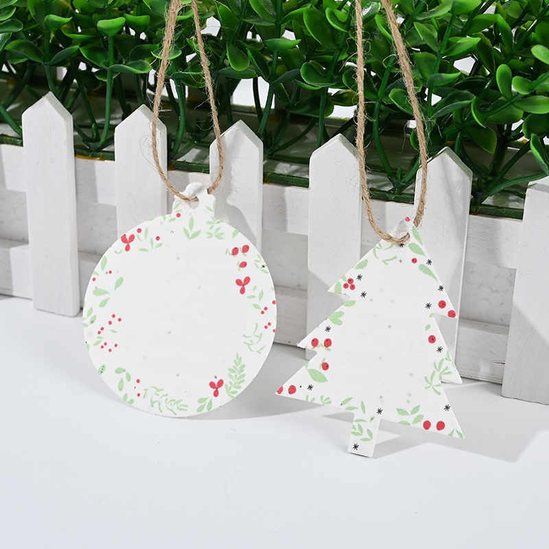 Creative seed paper card
