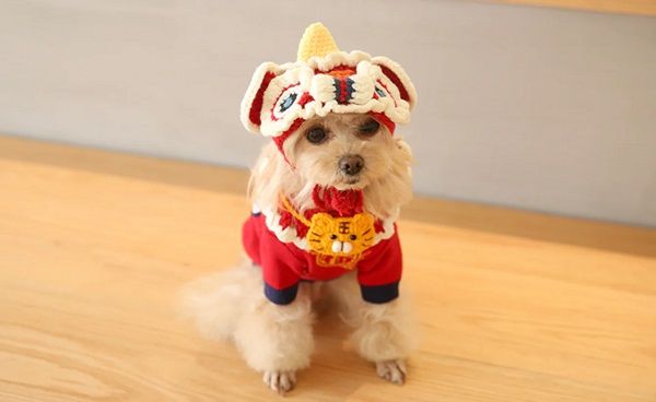 Hong Kong Pet New Year Gifts