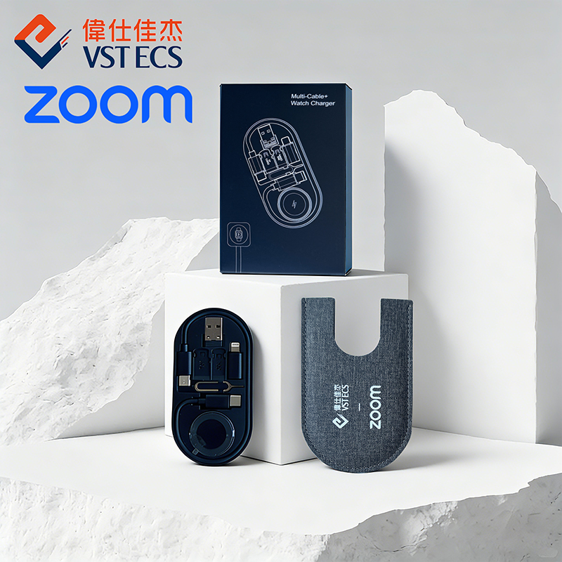 偉仕佳杰（VSTECS）數碼配件收納