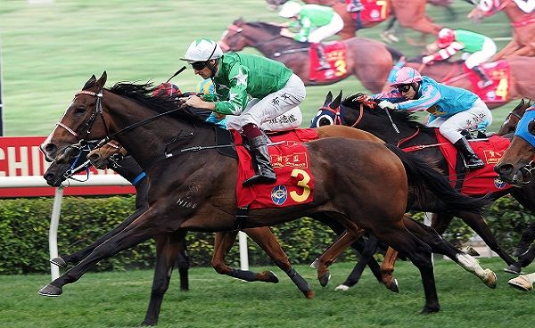 香港賽馬會賀年杯