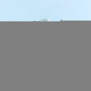 全膠帶粘貼式便條紙
