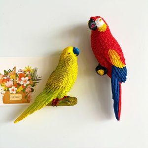創意鸚鵡磁石貼